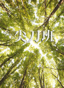 12p欧美