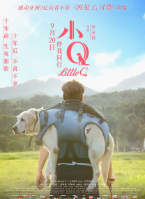 特种兵之火凤凰完整版免费观看