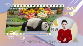 妻子的特别体质